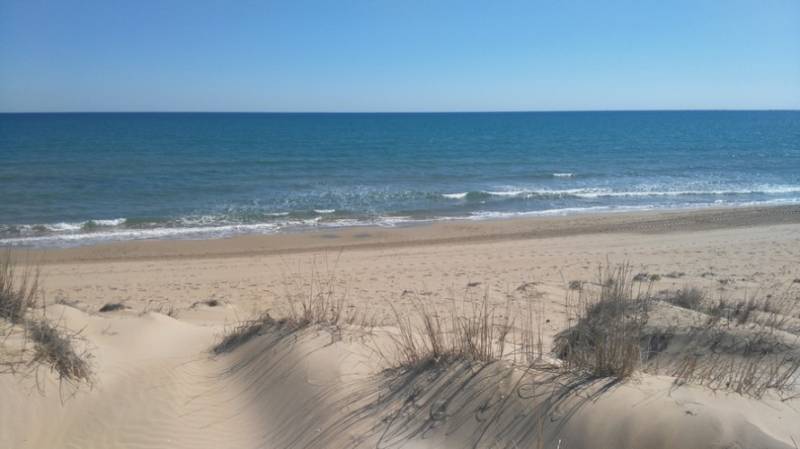 Sand dunes leading down to the sea on the Costa Blanca in Spain.