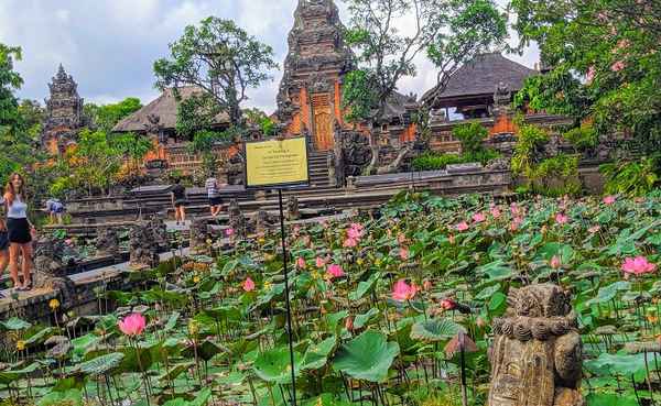Lotus pond in front of Saraswati Temple in Ubud.