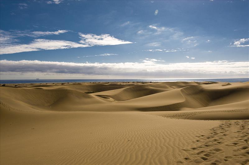 Maspalomas sand dunes in Gran Canaria Island.