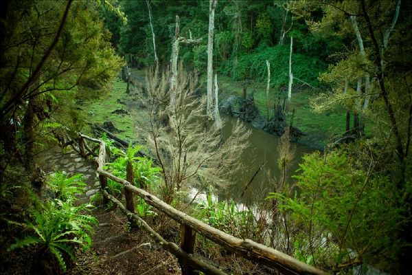 Meriga walking route through La Gomera rain forest, Canary Isles.