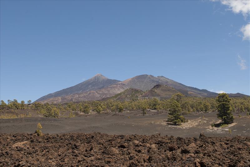 Teide National Park on Tenerife Island, Spain.