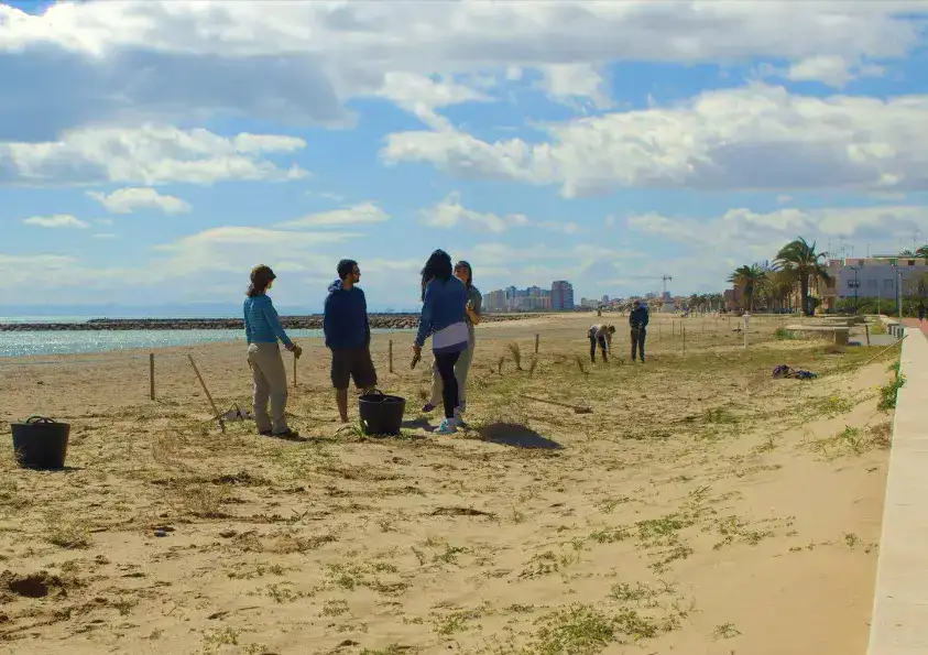 Volunteers keeping the sand dune ecosystem clean on the Costa Blanca.
