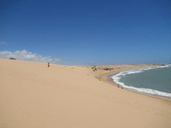 Sand dunes beside the sea.