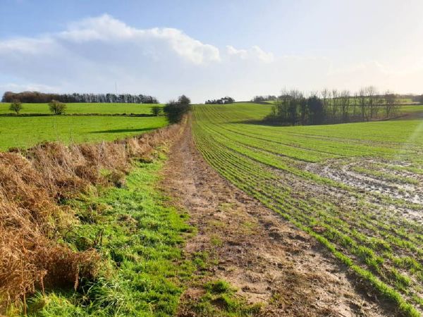 Muddy trail through grass fields in The Mendips, Somerset.