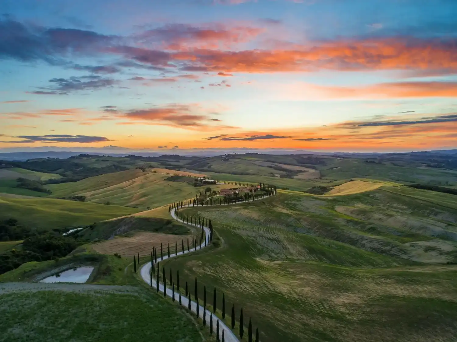 Tree-lined winding road through Tuscany countryside at sunset.