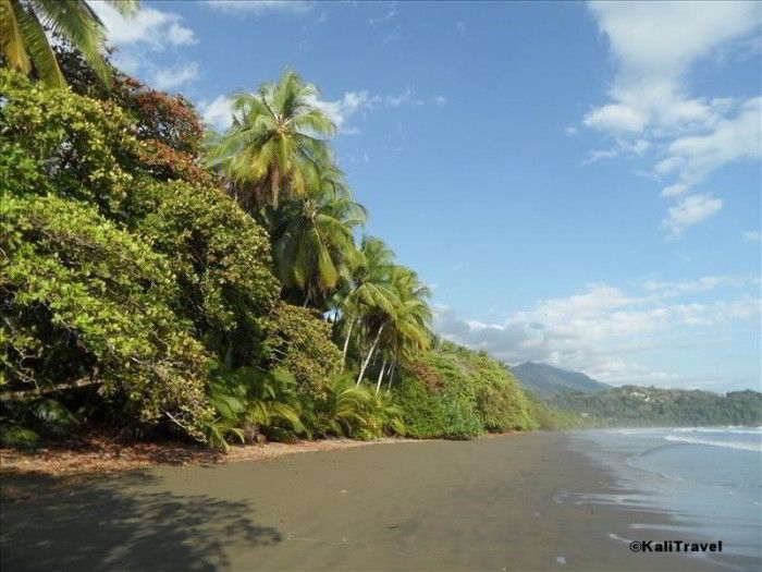 Uvita beach is part of the Marino Ballena Marine Reserve, Costa Rica.