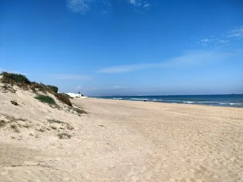 Dunas, playa de arena dorada y mar azul.