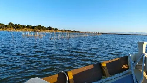 Boat trip on Albufera lake near Valencia.