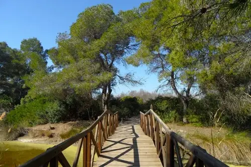 Boardwalk at Albufera Park visitors Centre, Valencia.