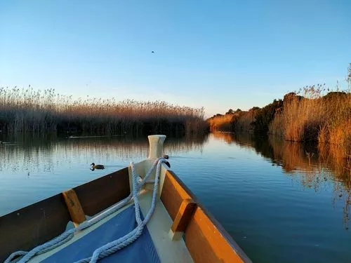 La proa de un barco de excursion por un canal entre cañas en el lago de la Albufera.
