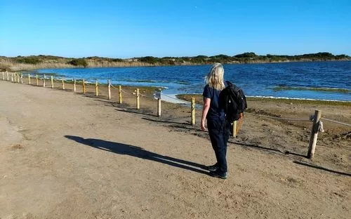 Trail by a lagoon in Albufera Natural Park, Valencia.