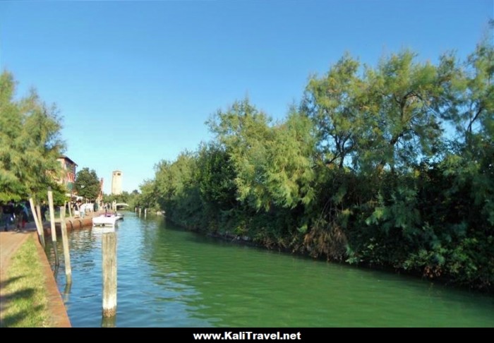 Tree shaded canal on Torcello Island in the Venetian Lagoon