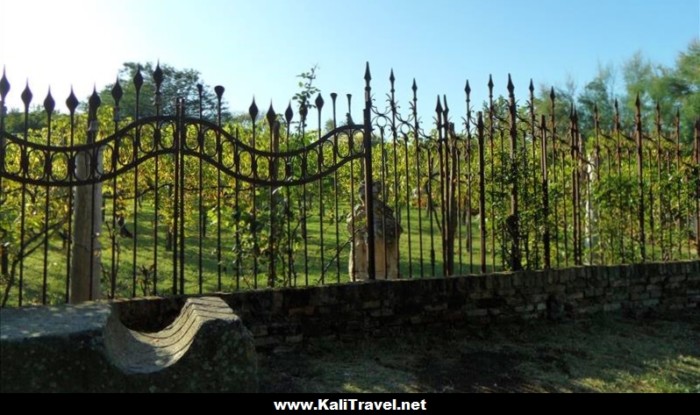 Ornamental railings enclose vineyard on Torcello Island, Venice Lagoon