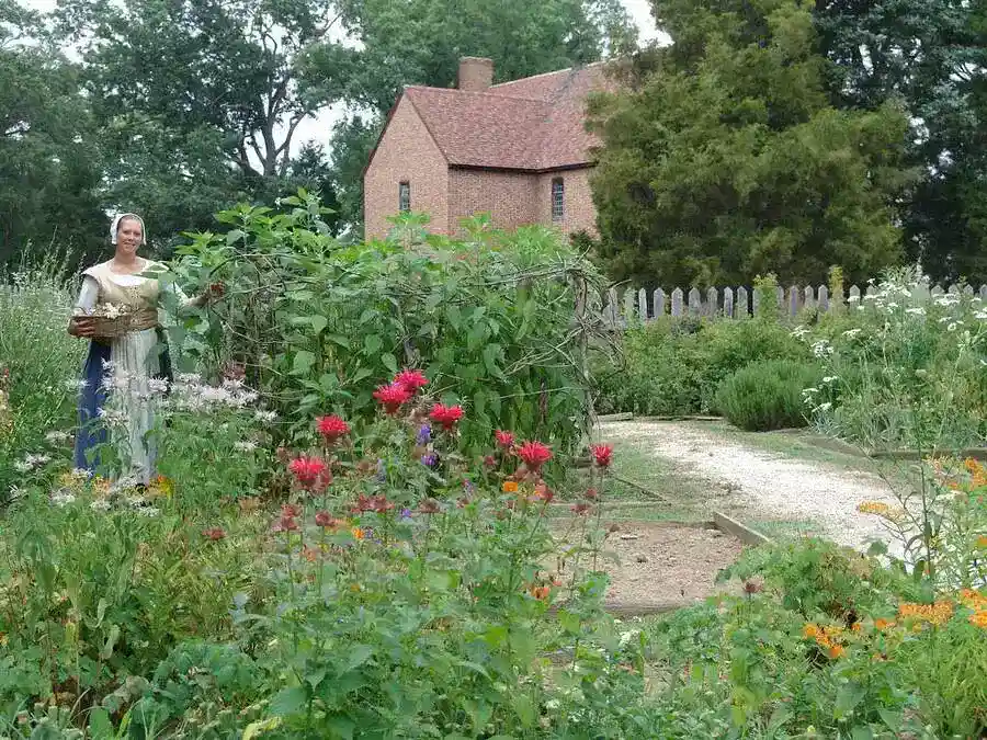 Young woman in old fashioned clothes in a flower garden in historic St. Mary's.
