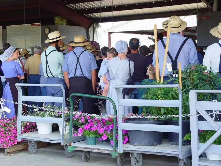 The Amish community of St Mary's County at a farm market. 