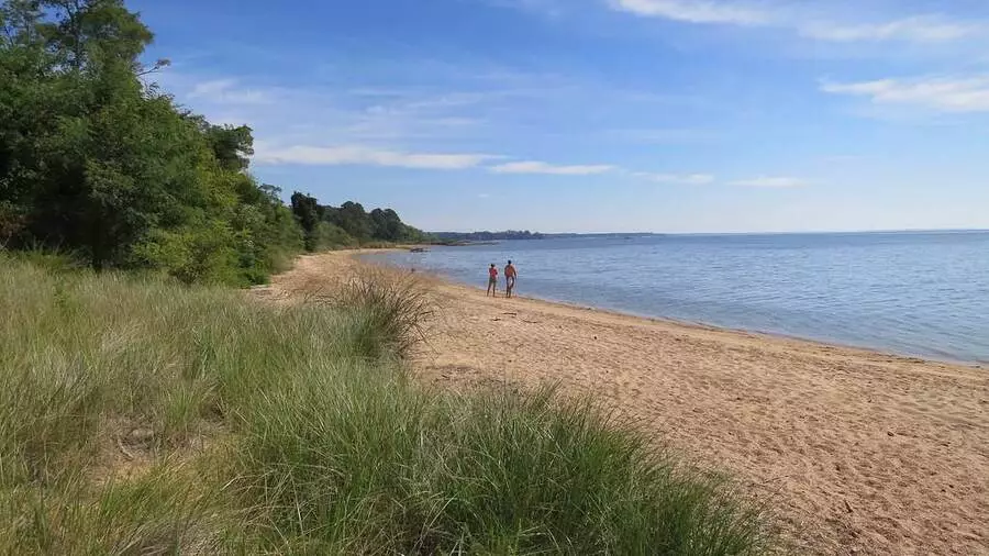 Sandy bay in St. Mary's County, Maryland.