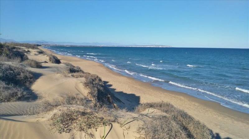 Sand dunes at Vivers beach beside the sea in Guardamar del Segura, Costa Blanca.