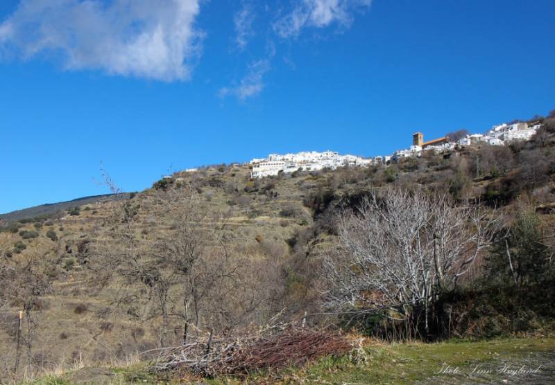 Whitewashed houses & village church on the slopes of Sierra Nevada mountains in Spain.