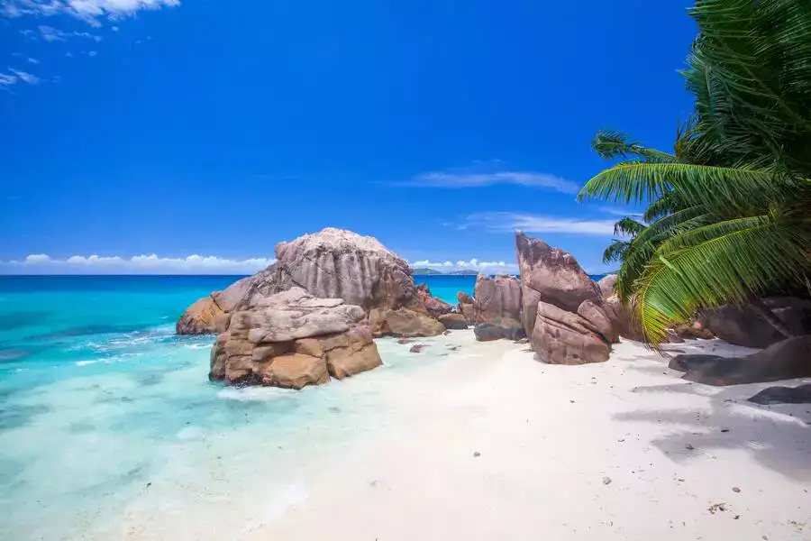 White sand beach with boulders, fringed with palm trees and turquoise sea. 